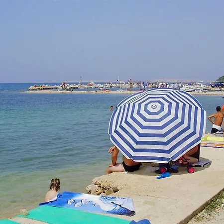 Adriatic רטינה