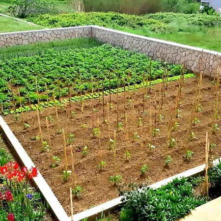 Adriatic - With Beautiful Garden *