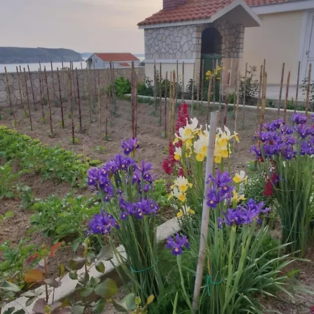 Adriatic - With Beautiful Garden Apartment Rtina
