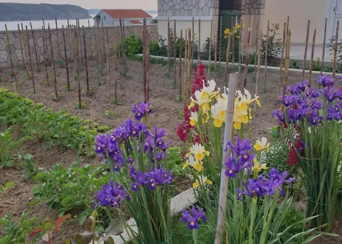 Adriatic 아파트 르티나